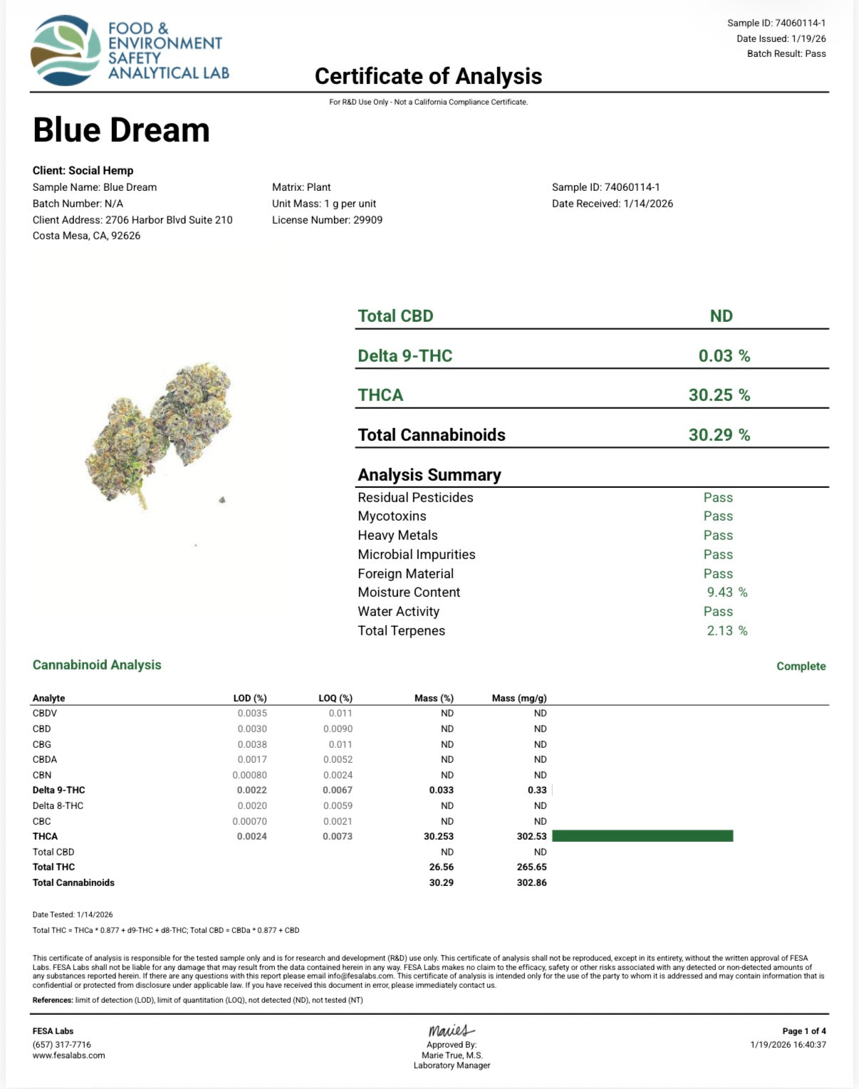 THCa Flower | Blue Dream