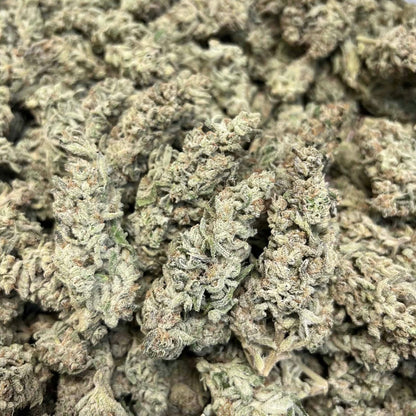 THCa flower white kush