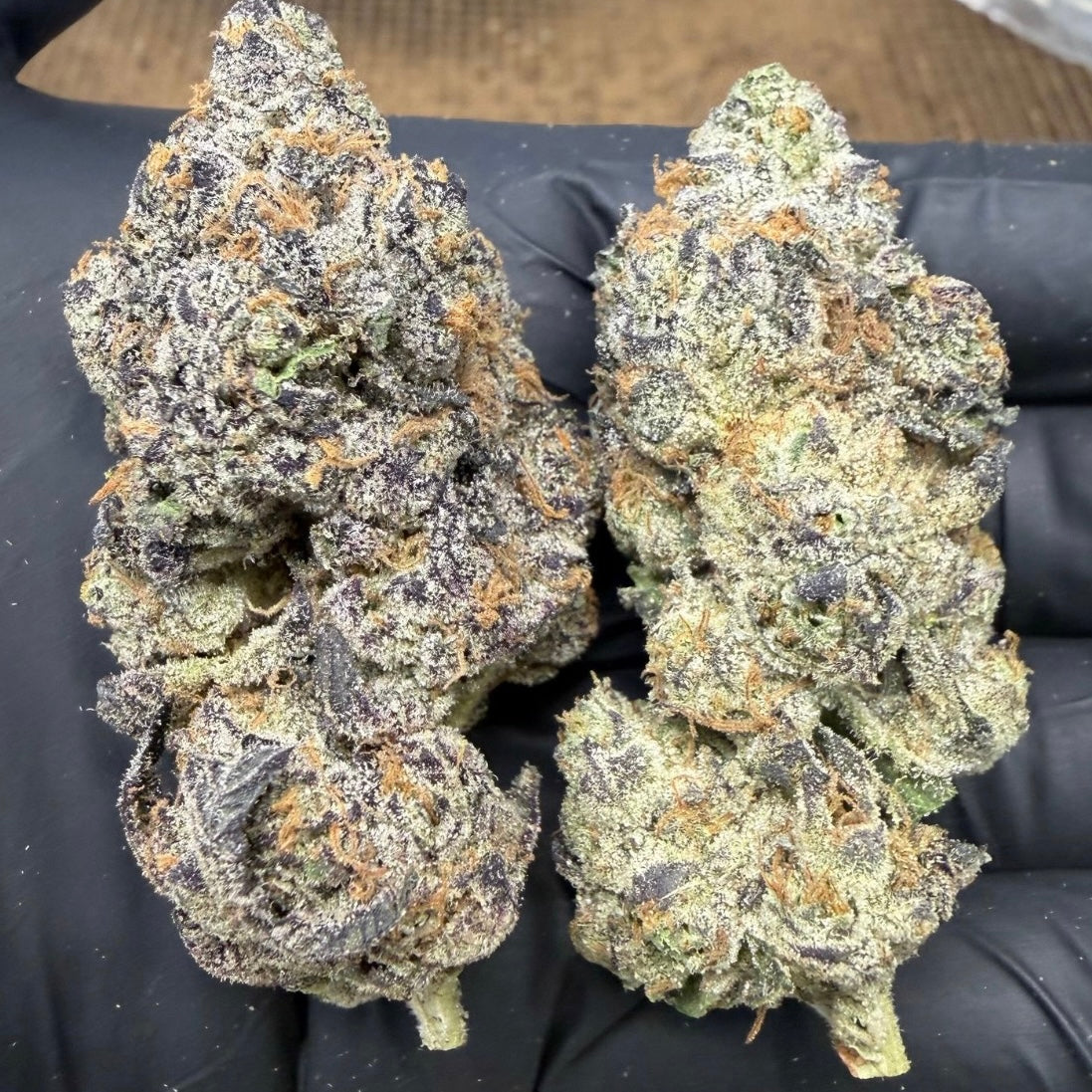 THCa Flower | Tangerine Trees Exotic