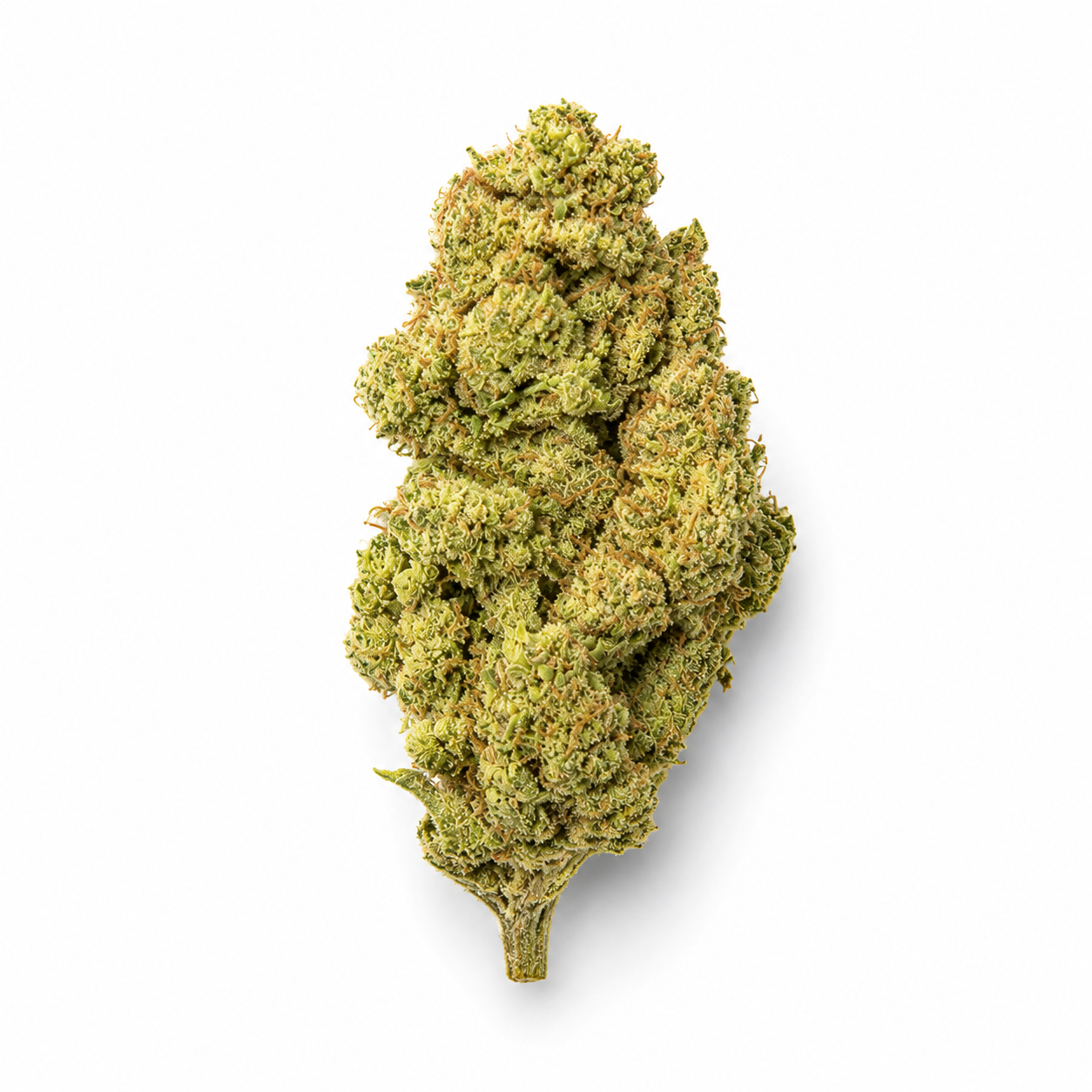 Government Oasis THCa Flower