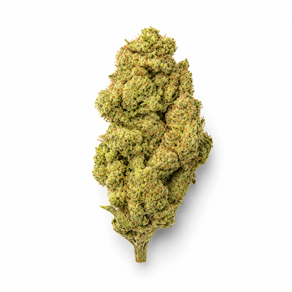 Government Oasis THCa Flower