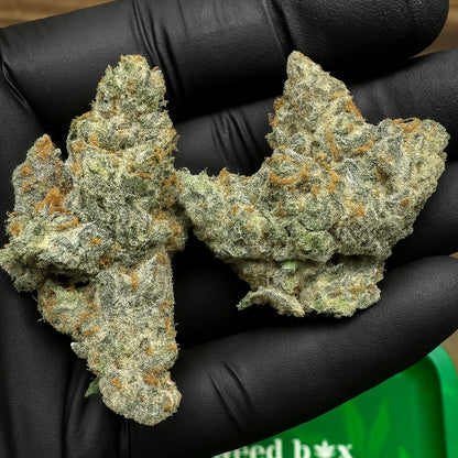 Grape gas exotic THCa strain