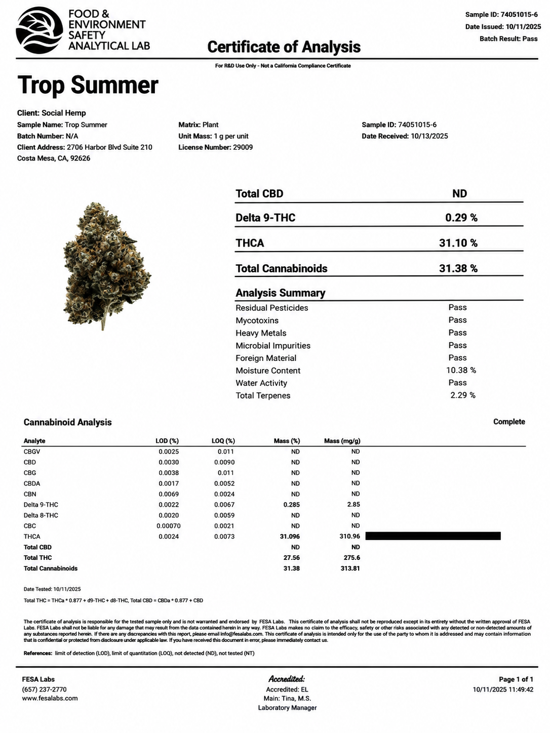 THCa Flower | Trop Summer Super Exotic