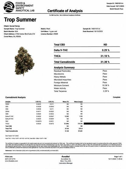 THCa Flower | Trop Summer Super Exotic