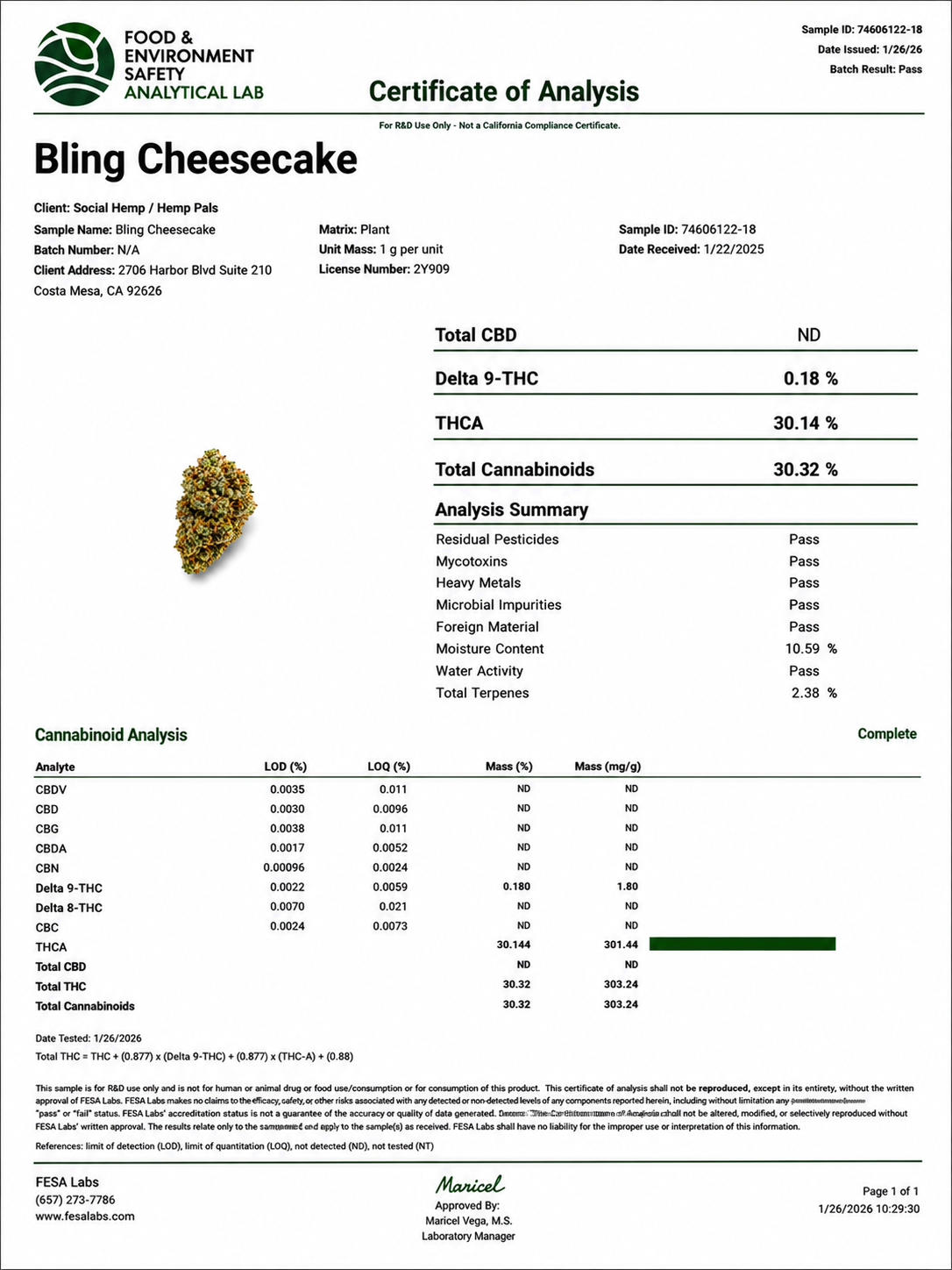 THCa Flower | Bling Cheesecake Super Exotic