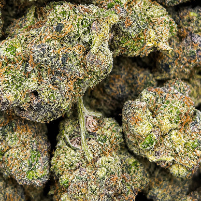 THCa Flower | Bling Cheesecake Super Exotic