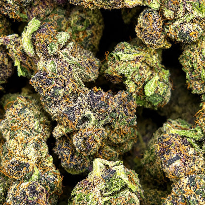 THCa Flower | Trop Summer Super Exotic