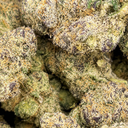 THCa Flower | New Money Super Exotic