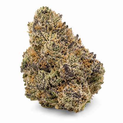 THCa Flower | New Money Super Exotic