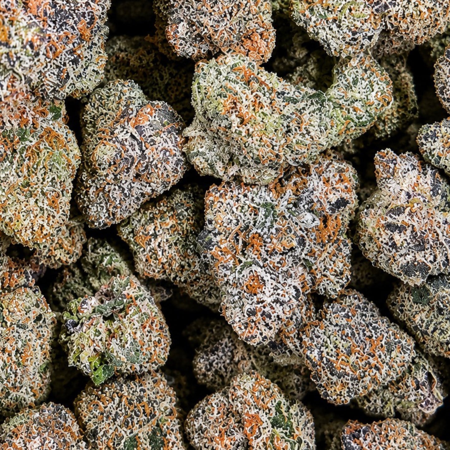 THCa Flower | Ferrari Exotic