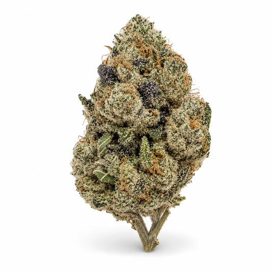 THCa Flower | Super Lemon Haze Exotic