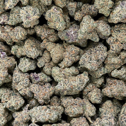 THCa Flower | Yaaas Bitch Exotic
