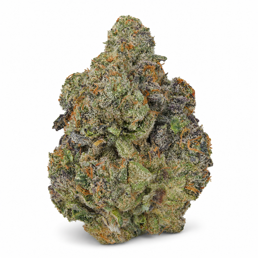 THCa Flower | Yaaas Bitch Exotic