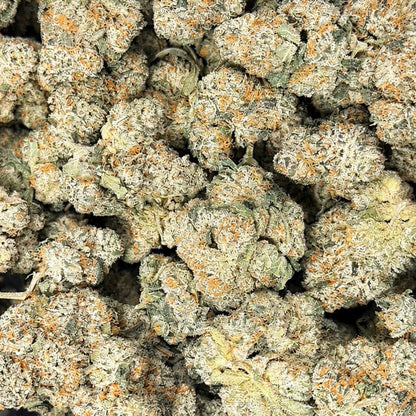 THCa Flower | Kundalini Sherbet