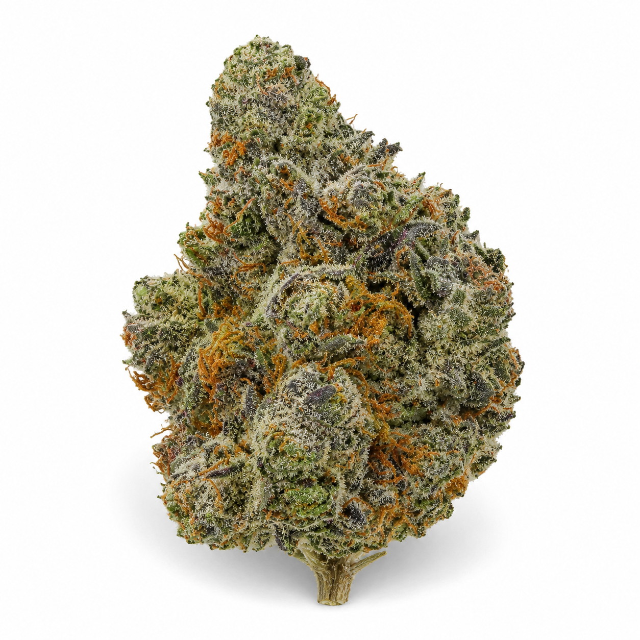 THCa Flower | Kundalini Sherbet