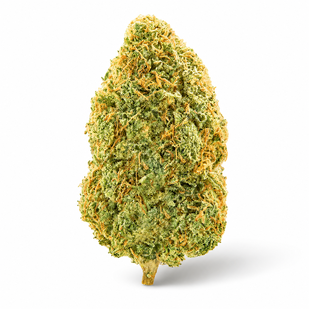 THCa Flower | Tangerine Dream