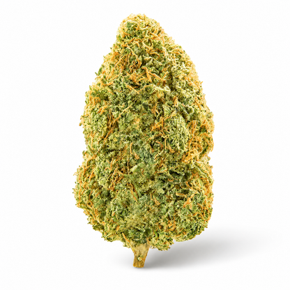 THCa Flower | Tangerine Dream