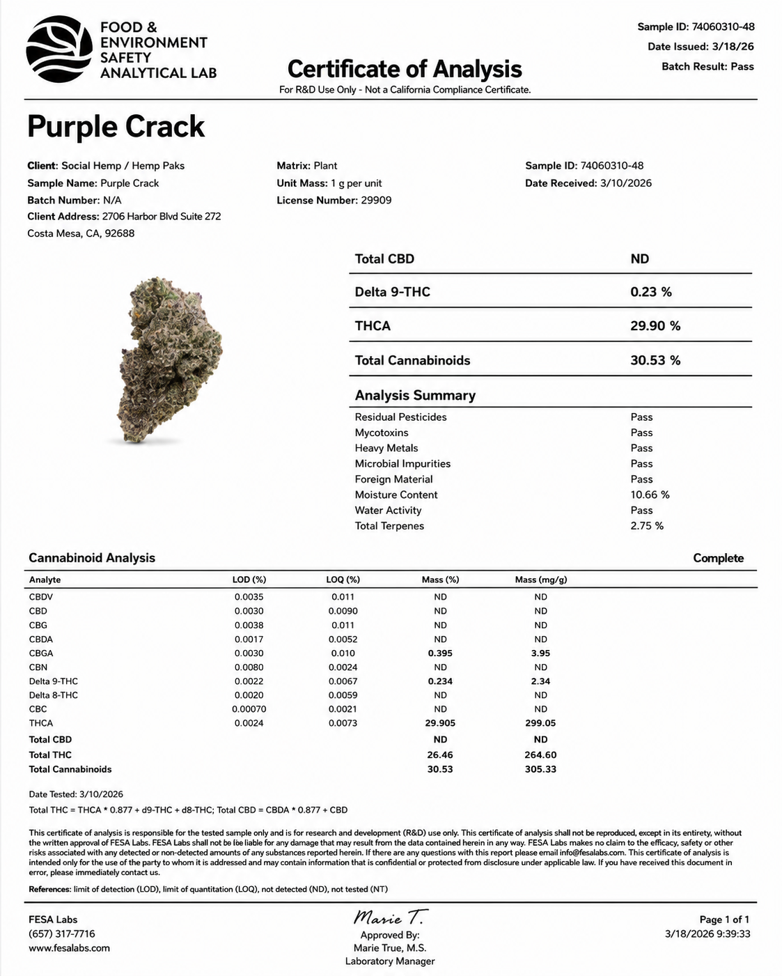 THCa Flower | Purple Crack Super Exotic