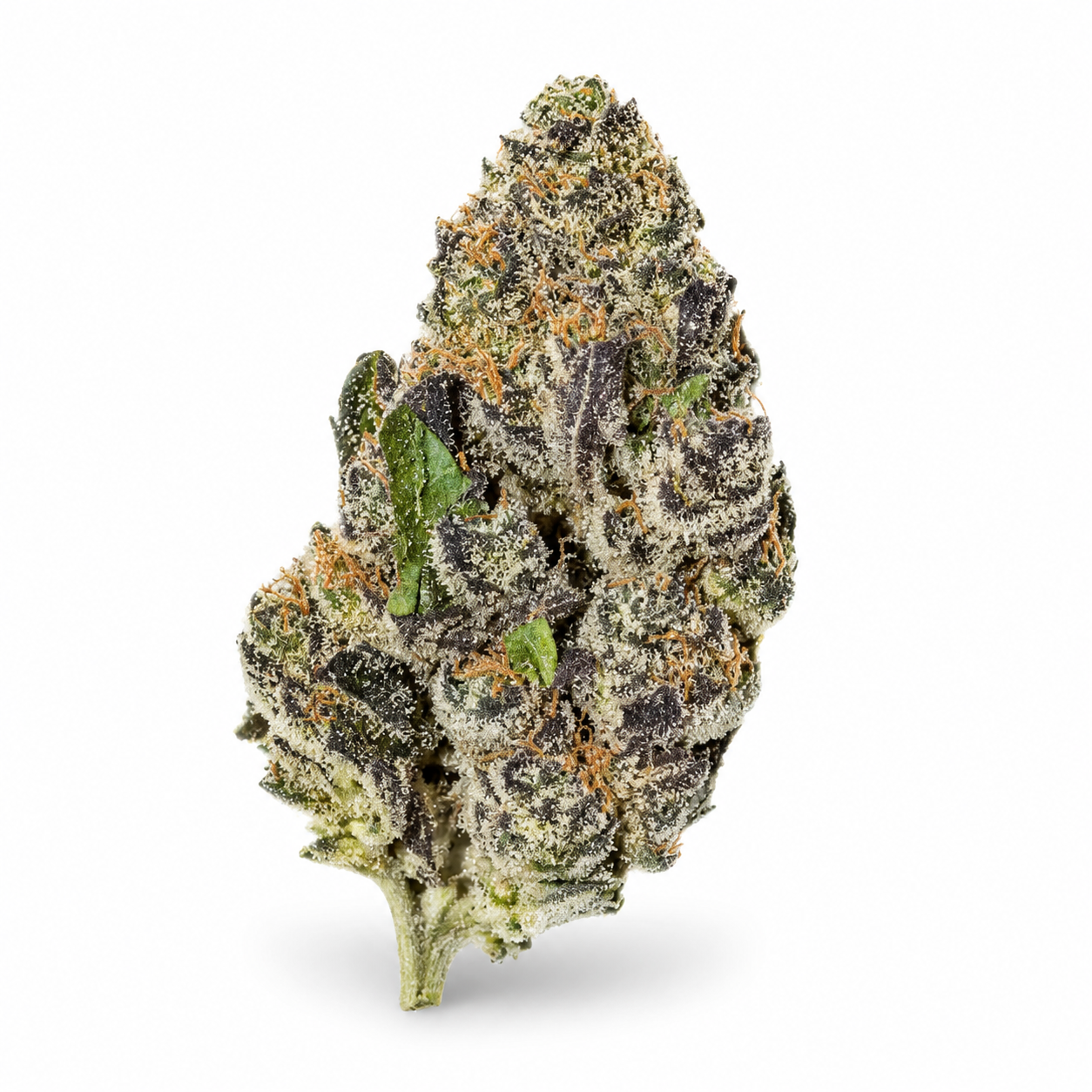THCa Flower | Umami Butter Super Exotic