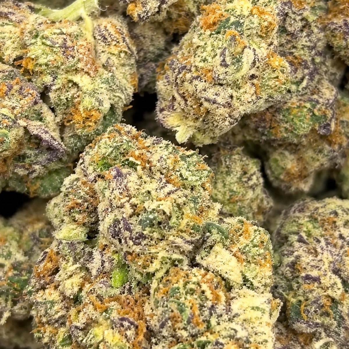 THCa Flower | Chrome Dome Super Exotic