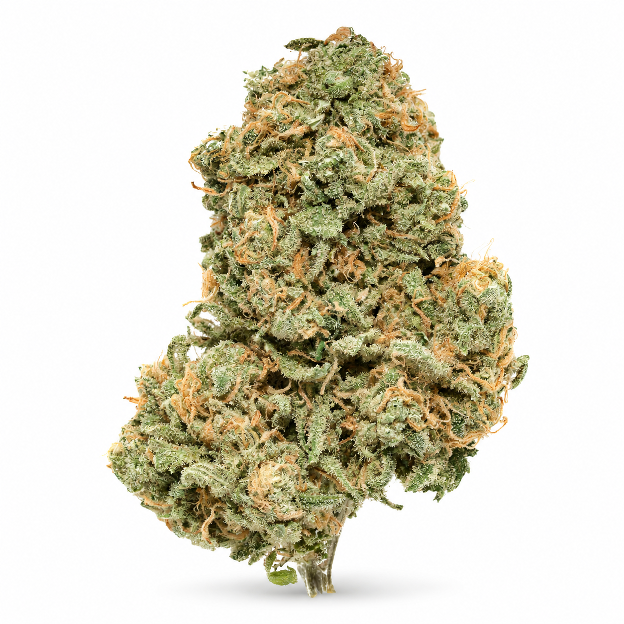 THCa Flower | Raspberry Cough