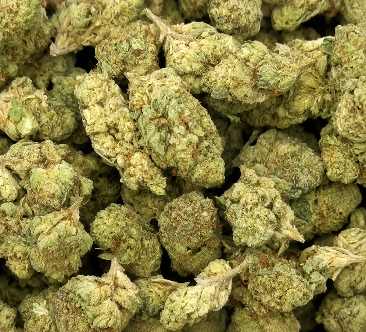 THCa Flower | Guava