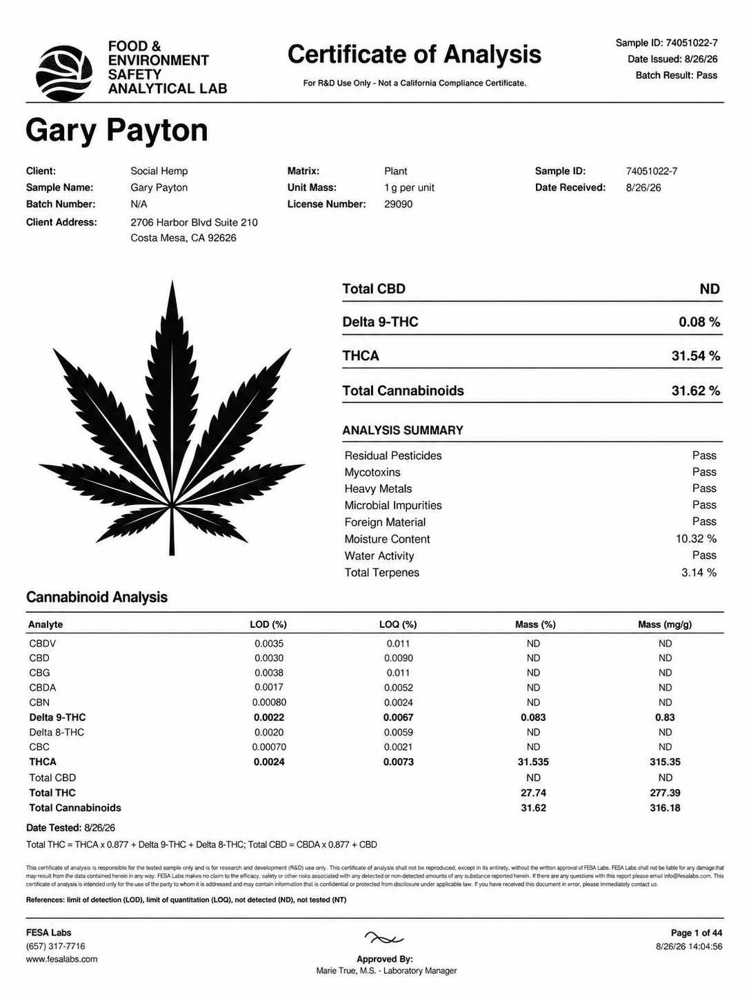 THCa Flower | Gary Payton
