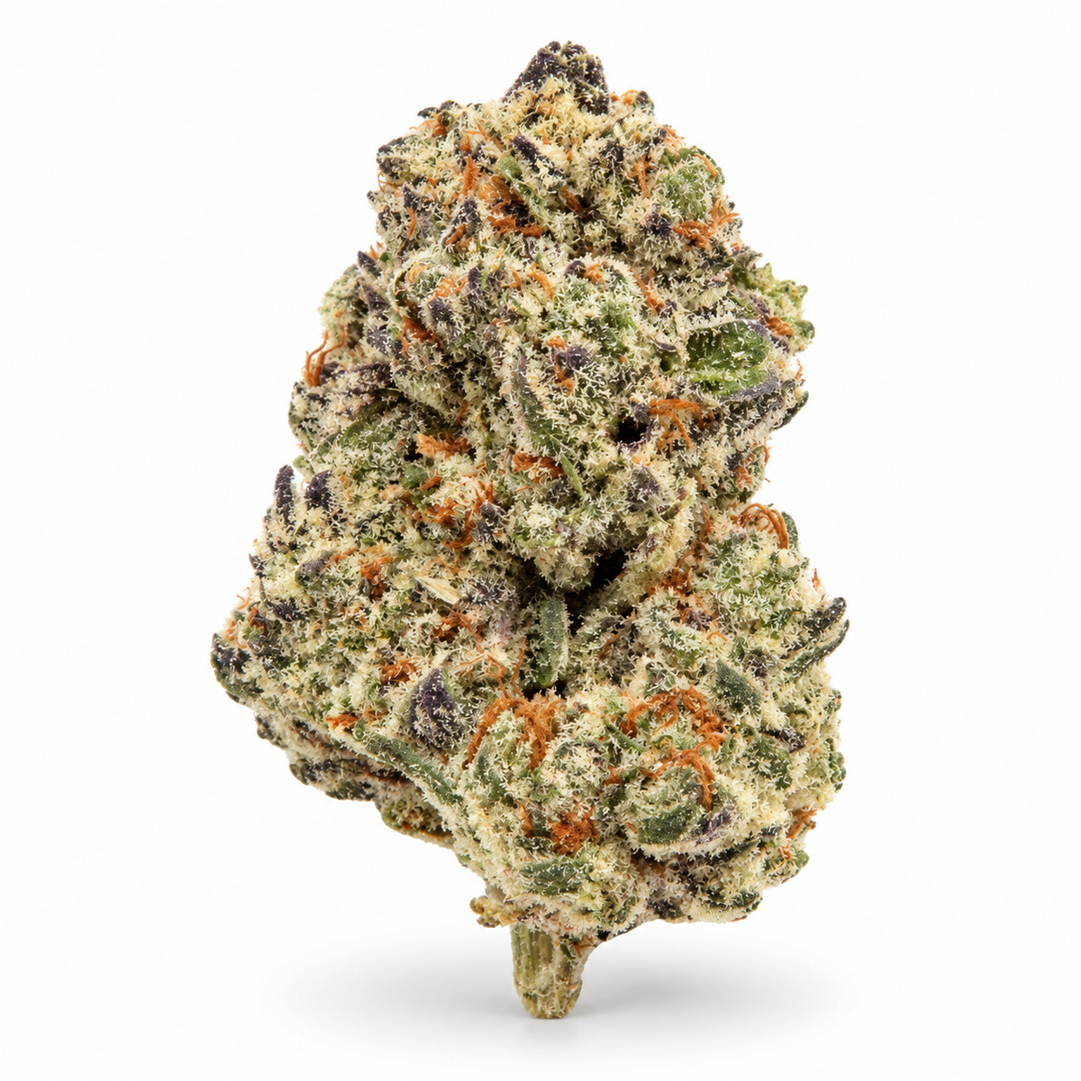 THCa Flower | Gary Payton