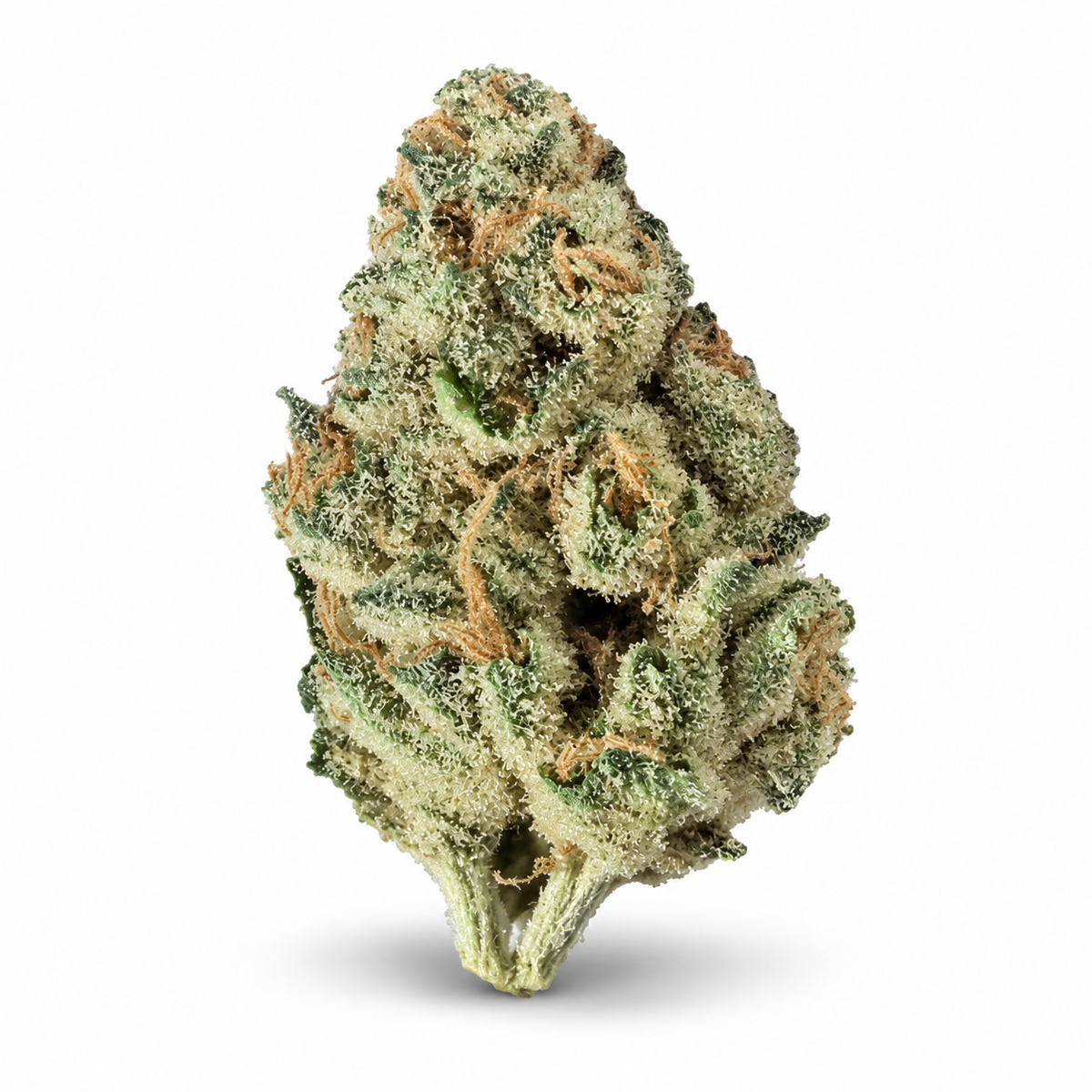 THCa Flower | Cherry Dior