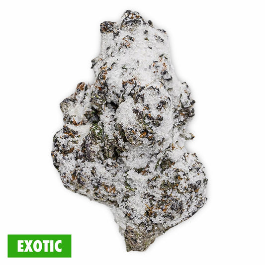 THCa snow caps strain flower