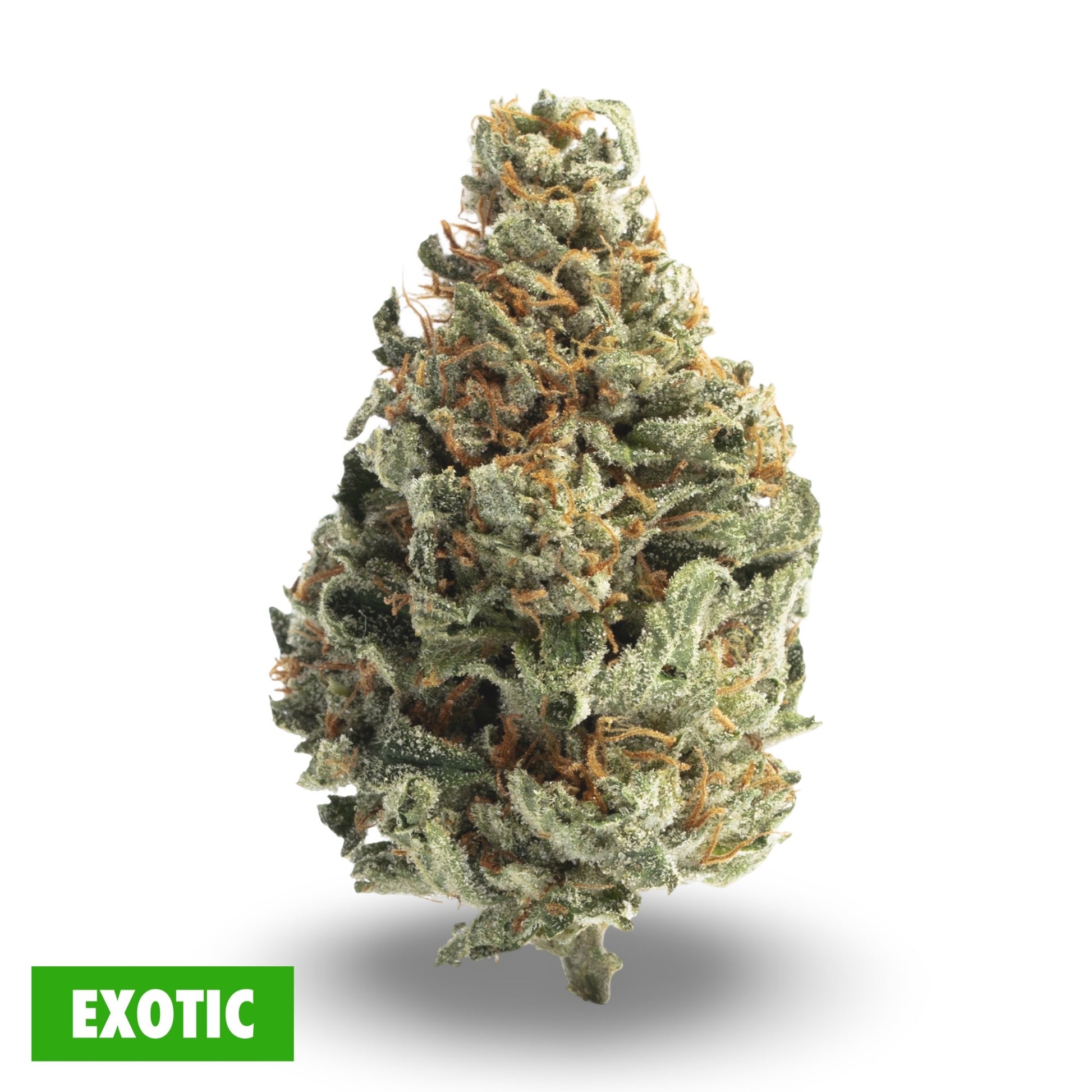 Vice city THCa flower strain