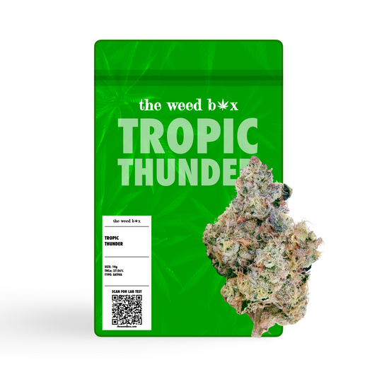 Tropic Thunder THCa Flower