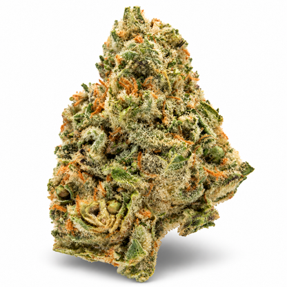 THCa Flower | Blueberry Sherb