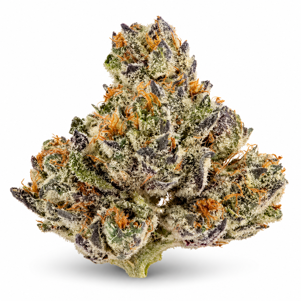 THCa Flower | Gelato Ice Exotic