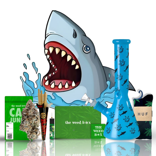 August Box | Shark Week Limited Edition