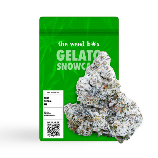 Gelato Snowcaps THCa Flower Strain