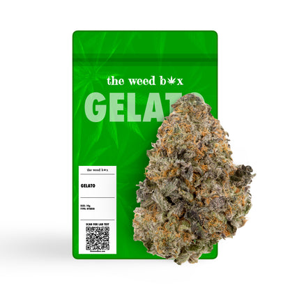 Gelato THCa strain flower