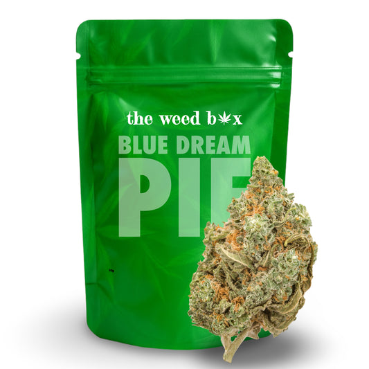 Blue dream pie THCa strain