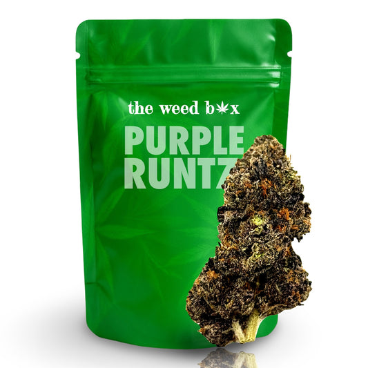 Purple Runtz THCa strain