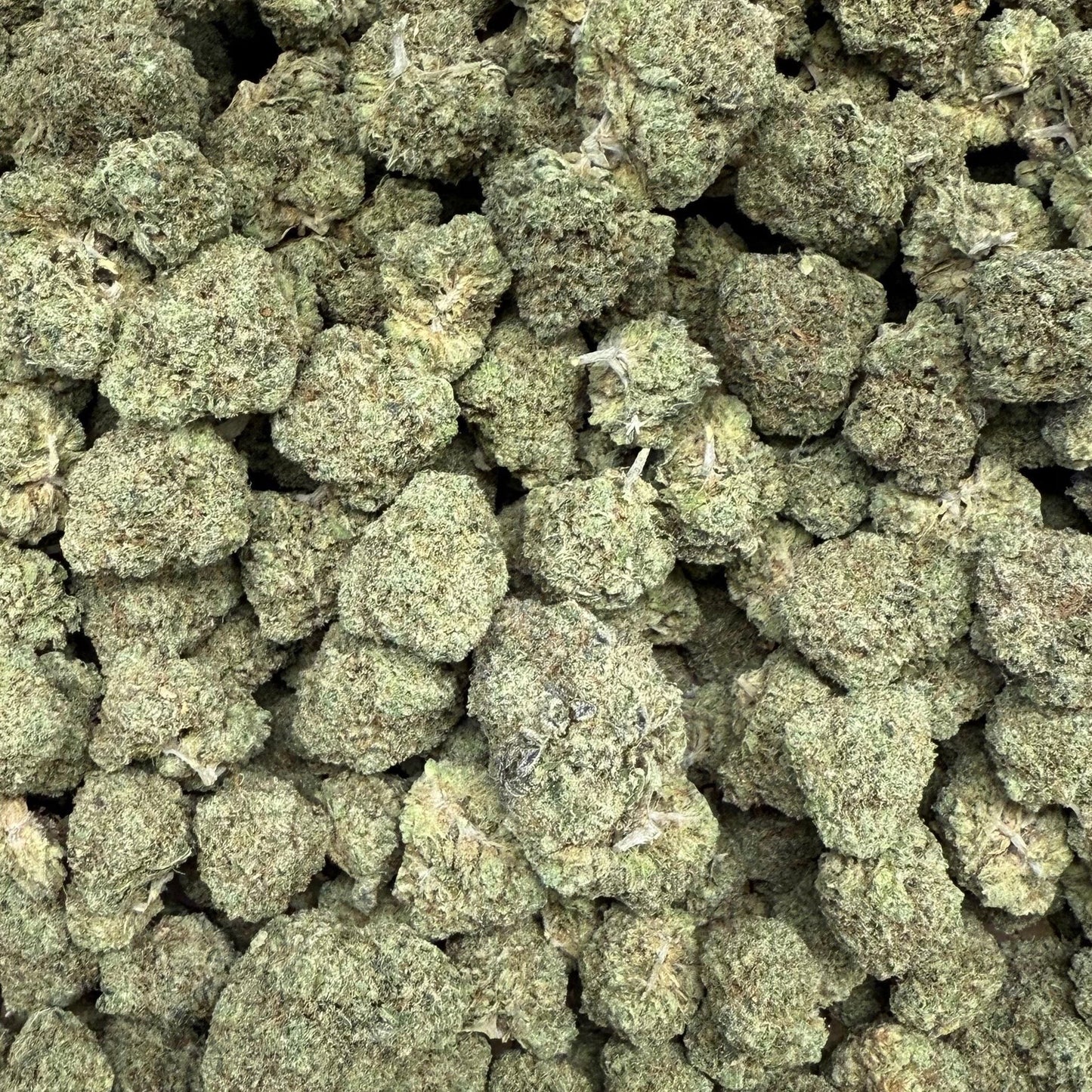 White Gummies THCa strain