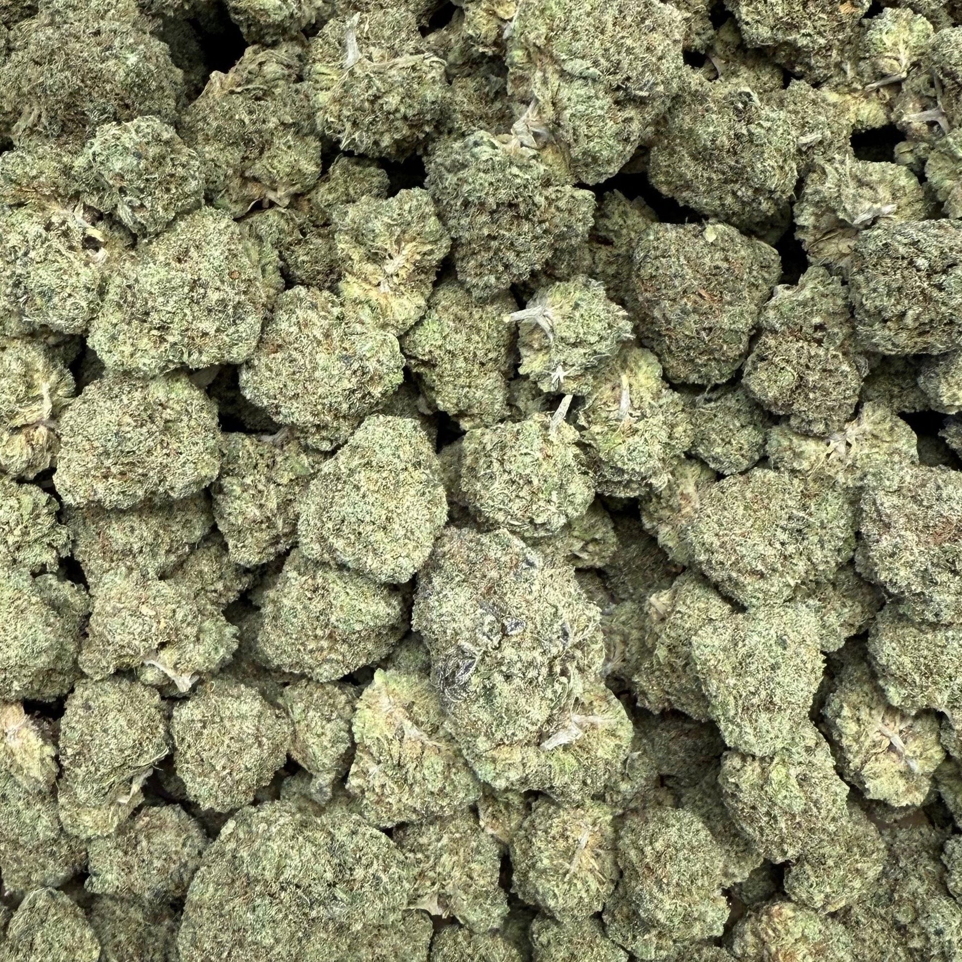 White Gummies THCa strain
