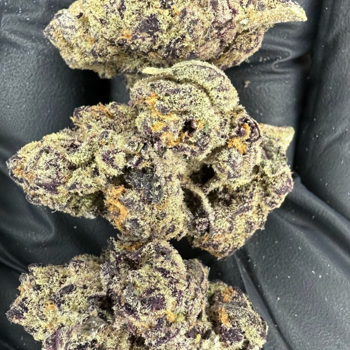 Blue Dream Exotic THCa Flower