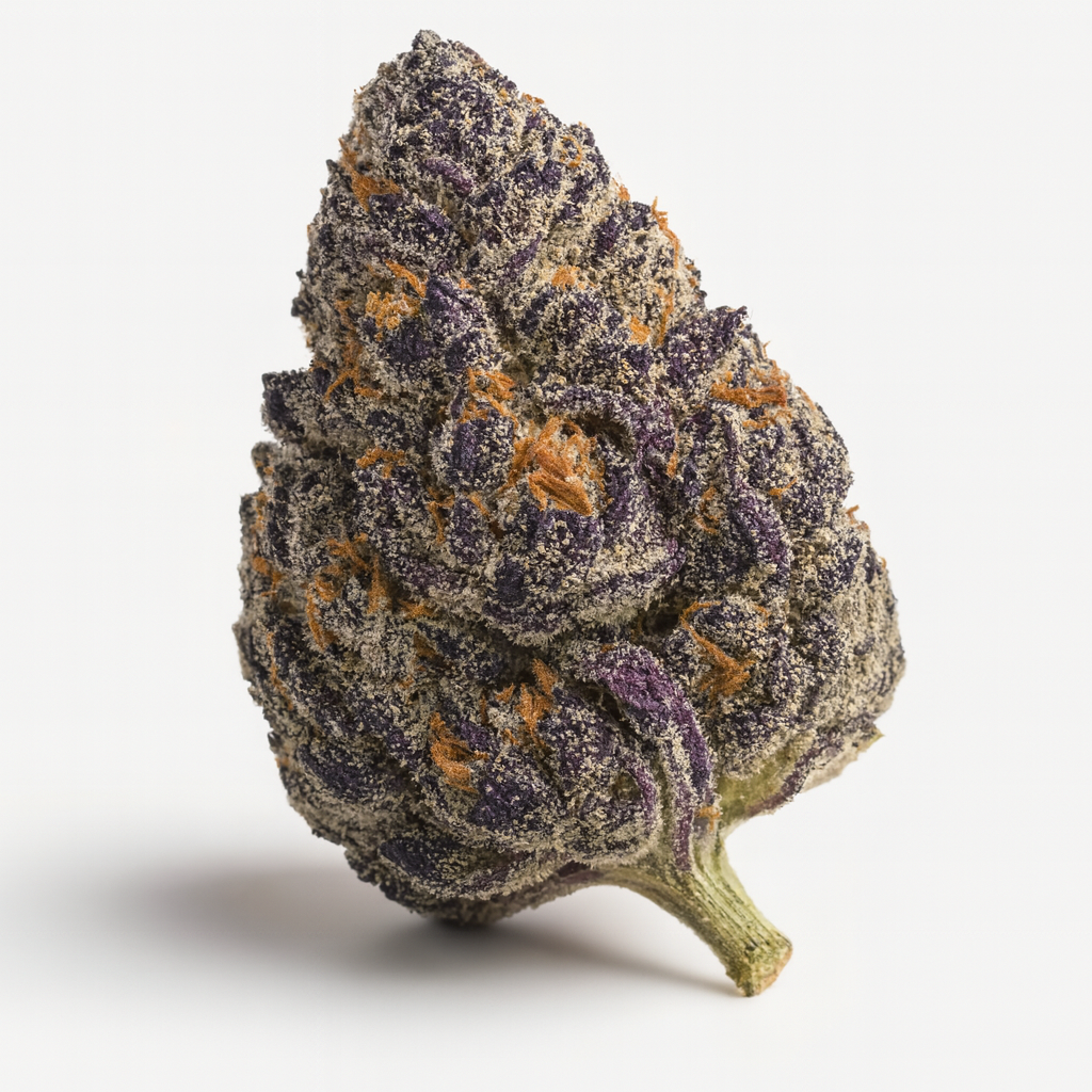 Hash burger exotic THCa strain