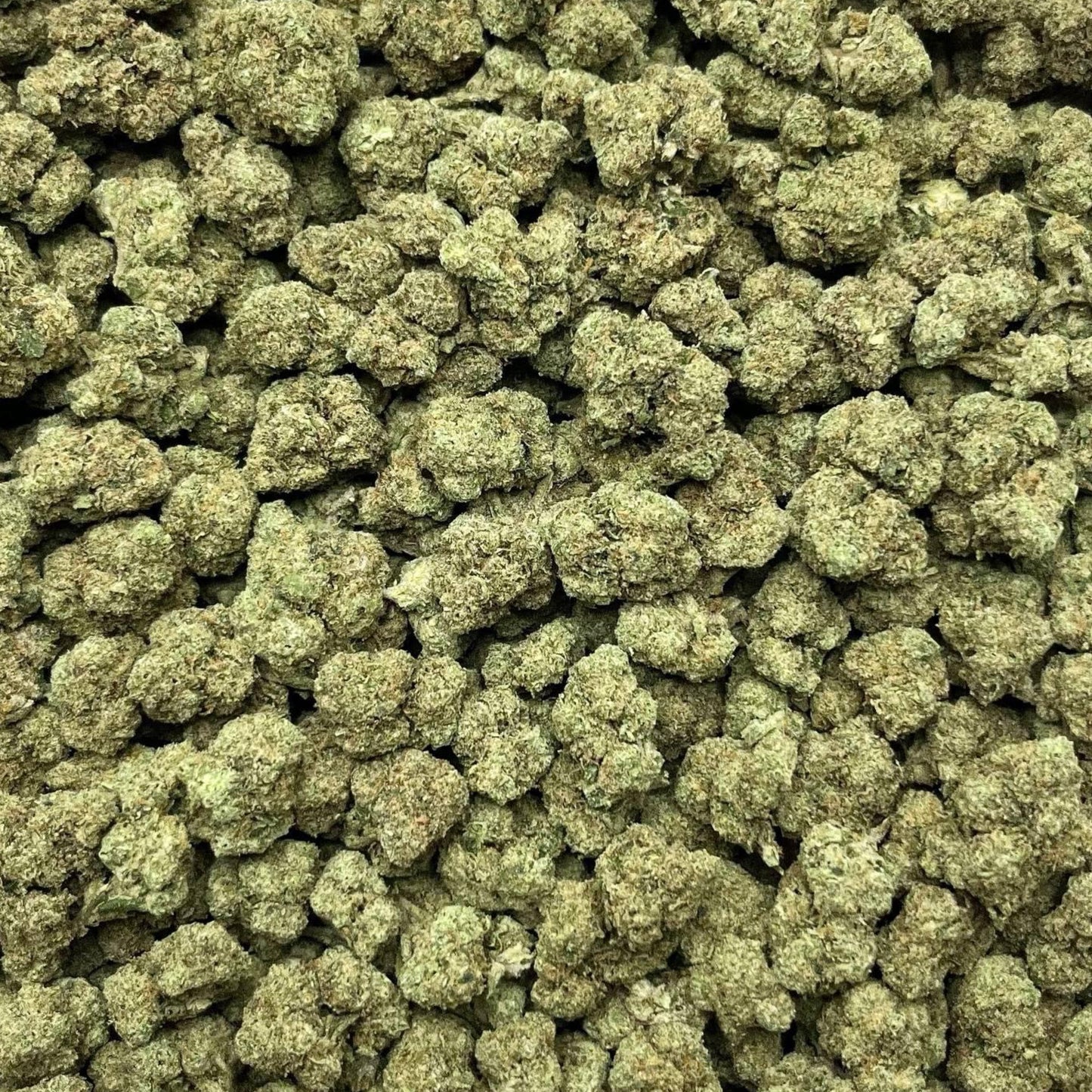 Blackscotti THCa Flower