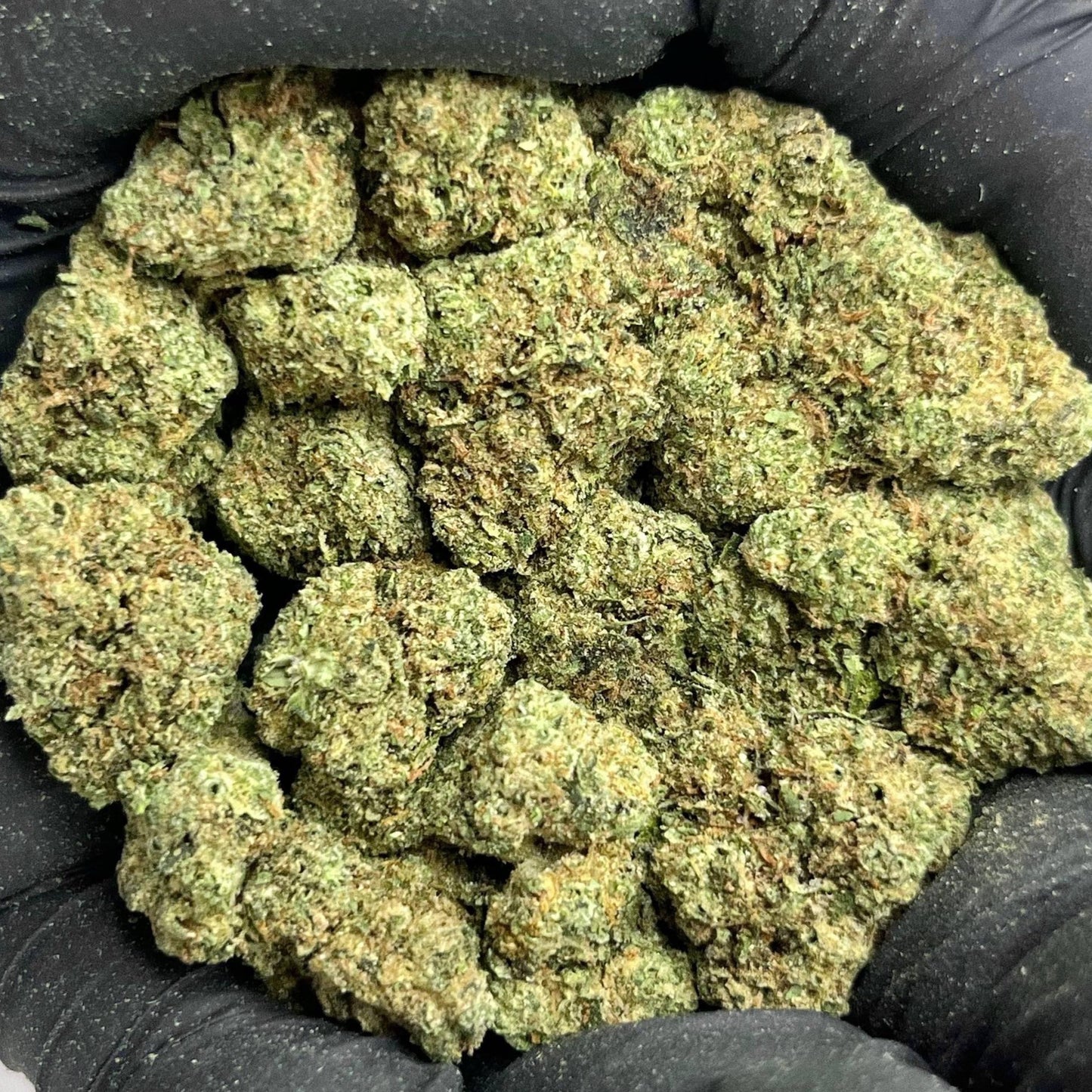 Blackscotti THCa Flower