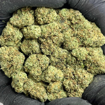 Blackscotti THCa Flower