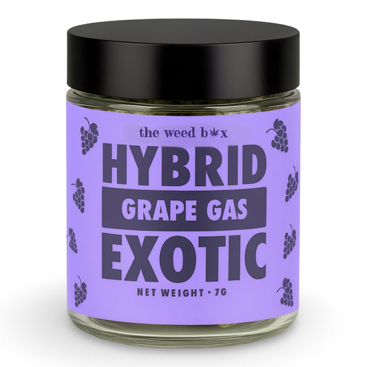 THCa Flower | Grape Gas Exotic | Jar