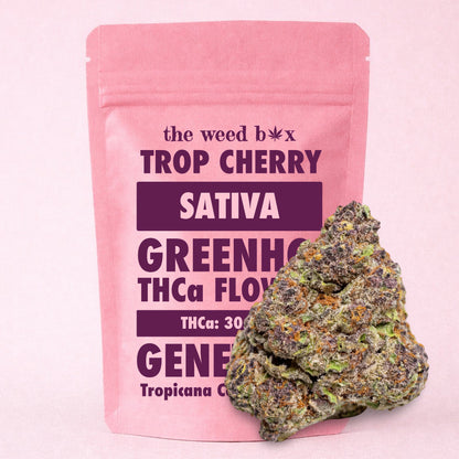 THCa Flower | Tropicana Cherry 28g