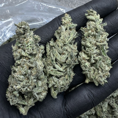 THCa Flower | White Kush 14g