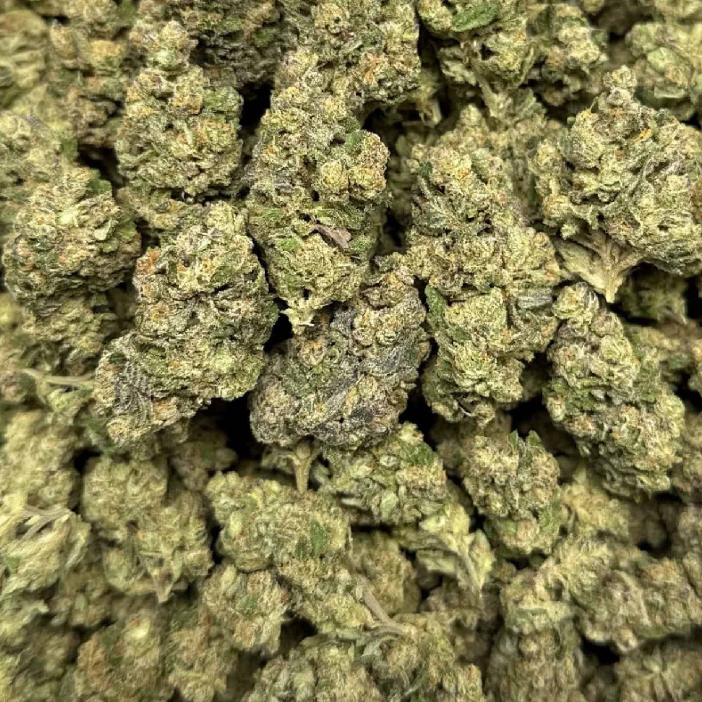 THCa Flower | Papaya Punch 14g